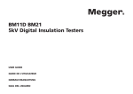BM11D BM21 5kV Digital Insulation Testers