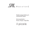 il piccolo