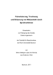 Pulverisierung, Trocknung und Bräunung von Malzextrakt durch