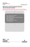 Deutsch - Emerson Process Management