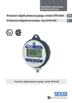 Precision digital pressure gauge, model CPG1000 Präzisions