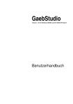 Das Handbuch zum GaebStudio - Mohr