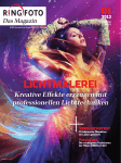 Ausgabe 1/2013