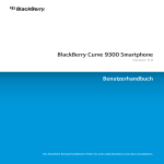 Handbuch des BlackBerry Curve 9300 - Hilfe