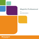 MapInfo Professional 10.5 User Manual