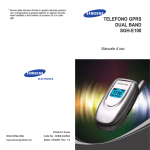 Samsung SGH-E100 User Manual
