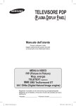 Samsung PS-42C91H User Manual
