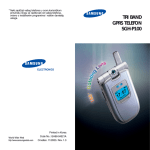 Samsung SGH-P100 Priručnik za korisnike