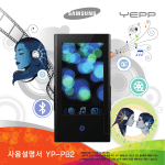 Samsung YP-PB2AB
DMBholic P2 DMB User Manual