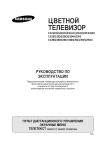 Samsung CS-21A0WTQ Инструкция по использованию