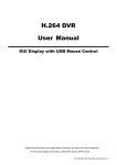H.264 DVR User Manual - Camere video supraveghere