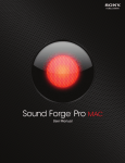 Sound Forge Pro 1.0 User Manual