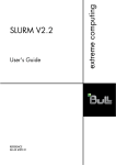 SLURM V2.2 - User's Guide