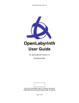 OpenLabyrinth User Guide