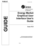 Energy Market Graphical User Interface User's Guide