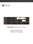 Manual III: Extension User's Guide