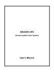 BRAVER UPS User's Manual