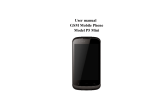 User manual GSM Mobile Phone Model P5 Mini