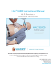 HAL® 3101 User's Guide