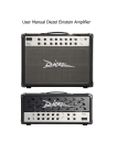 User Manual Diezel Einstein Amplifier