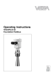 Operating Instructions - VEGAPULS 62 - Foundation