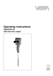 Operating Instructions - VEGACAP 62 with two-wire output