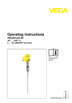 Operating Instructions - VEGAFLEX 66 - 4 ? 20 mA/HART four-wire