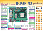 Biostar MCP6P-M2 Owner's Manual