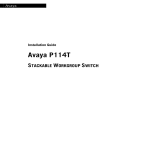 Avaya P114T User's Manual