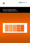 Business Excellence Matrix User Guide