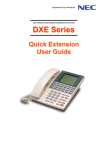 quick extension user guide - Websites for driving instructors