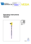 Operating Instructions - VEGAVIB 62 -