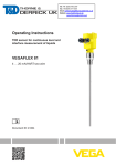 Operating Instructions - VEGAFLEX 81 - 4 … 20 mA/HART two-wire