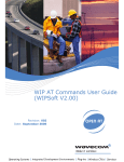 WIP AT commands user guide (WIPsoft v2.00)