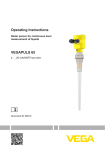 Operating Instructions VEGAPULS 65