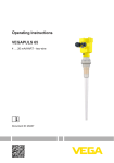 Operating Instructions - VEGAPULS 65 - 4 … 20 mA/HART - two-wire