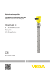 Operating Instructions - VEGAFLEX 81 - 4 … 20 mA/HART two