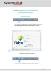 VidyoDesktop™ Quick User Guide Version 3.0-A