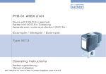 Operating Instructions PTB 01 ATEX 2101 Example / Beispiel