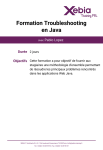 Programme de la formation Troubleshooting en Java