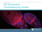 CST Protocols & Troubleshooting Guides
