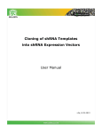 Cloning of shRNA Templates into shRNA Expression