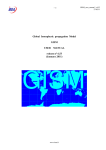 GISM user manual 6.53-bis