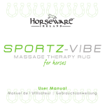 User Manual - Sportz-Vibe
