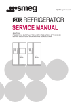 SERVICE MANUAL - Sylvain Kuczek