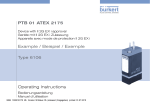 Operating Instructions PTB 01 ATEX 2175 Example