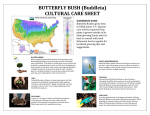 OnlinePlantCenter B160015 Use and Care Manual