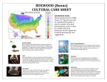 OnlinePlantCenter B25615 Use and Care Manual