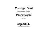 ZyXEL P-1100 User's Manual
