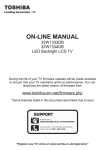 Toshiba W1333/32 User's Manual